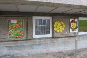 IMG_2641